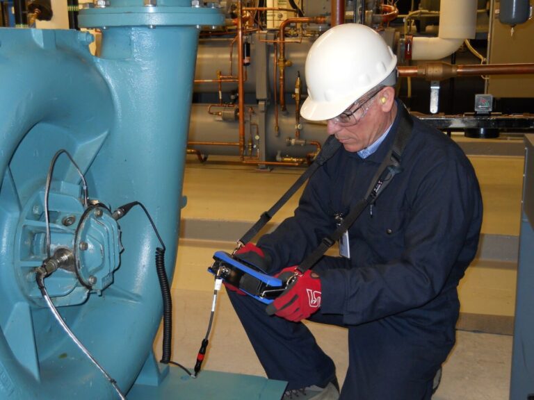 Expert vibration analyst